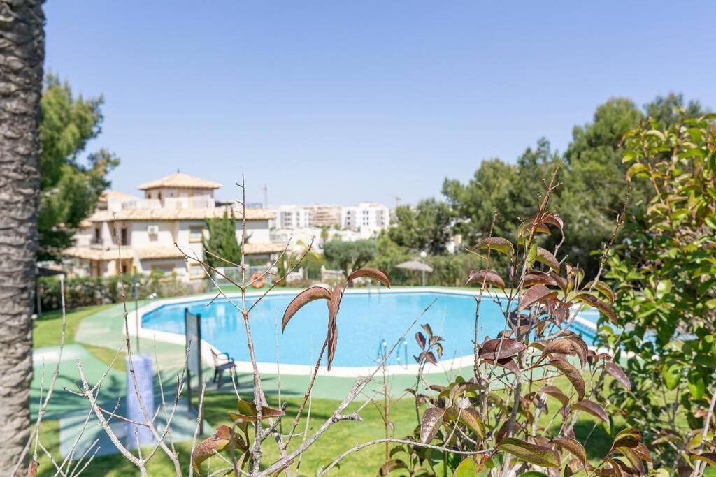 Casa Lilly-Rose, A Beautiful 3 Bedroom Detached Villa A Short Walk To The Villamartin Plaza & Golf Course Esterno foto